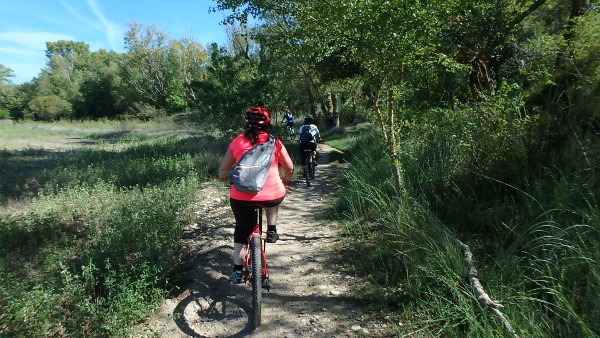 El Ayuntamiento de Huesca aprueba el expediente de contratación para la adjudicación de las obras de las vías ciclables