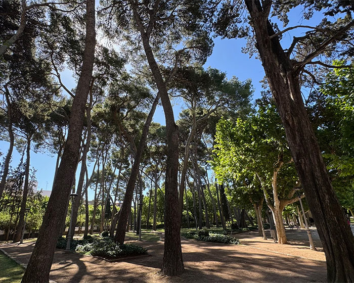 Más de 380 personas han participado ya en la encuesta ciudadana sobre el futuro del Parque Miguel Servet