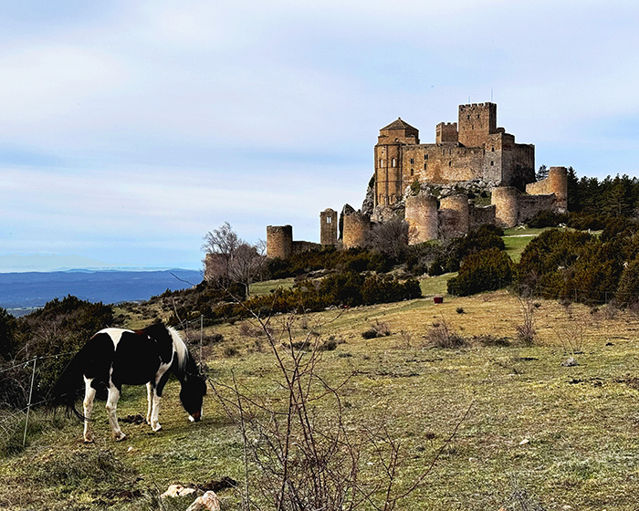 El Bus Turístico del Ayuntamiento de Huesca vuelve a recorrer los rincones más emblemáticos de la Hoya