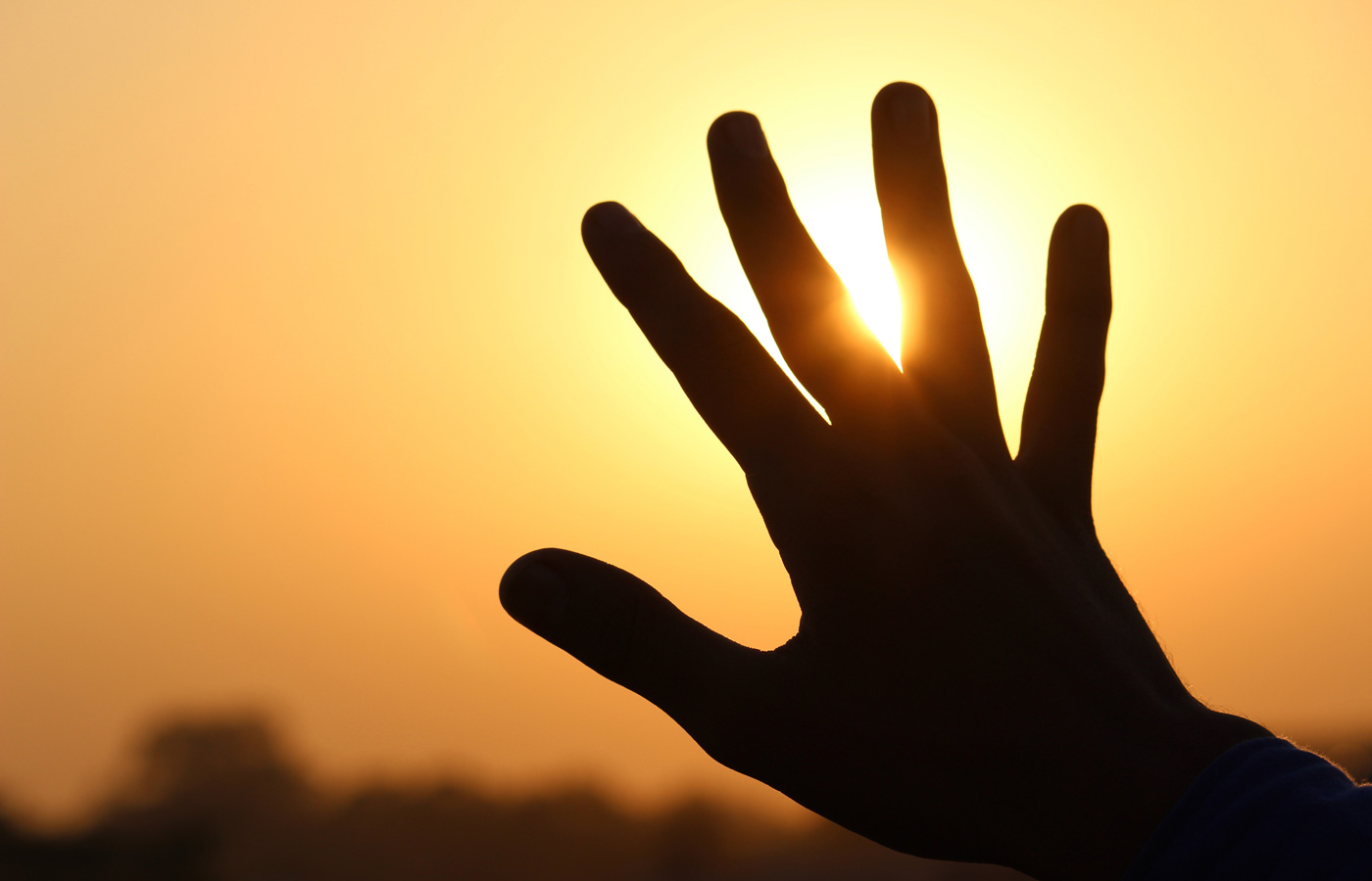 Igualdad y diversidad