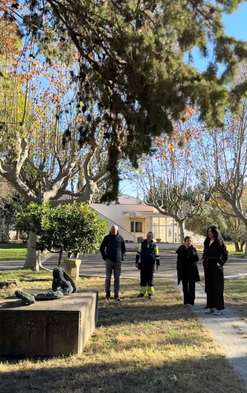 visita finca beulas visita finca beulas