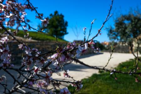 Imagen Parque Mártires de la Libertad